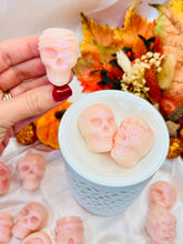 Load image into Gallery viewer, Chocolate Scented Orchids 'Skulls'