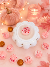 Load image into Gallery viewer, Autumn Raspberry & Amber Rose 'Pumpkins'