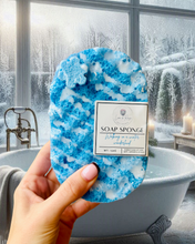 Load image into Gallery viewer, Walking In A Winter Wonderland Soap Sponge
