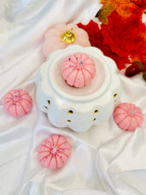 Load image into Gallery viewer, Sweet Berry Bake &#39;Chunky Pumpkin&#39;
