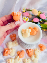 Load image into Gallery viewer, Coconut &amp; Mango 'Pretty Minnies'
